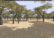 Armed Assault - African Vegetation Pack Beta 1 by BergHoff - Ansicht/Inhalt