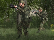 Armed Assault - Polish modern Infantry by vilas - Ansicht