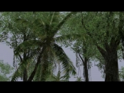 Armed Assault - HD Tropic Island BETA by Linker Split - Ansicht