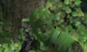 Armed Assault - High Definition Tropic Island v2.0 by Linker Split & DeanosBeano