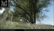 ARMA 2 - Linda - Realistic vegetation creation system for realtime visualisations, games, simulations or CG generated nature