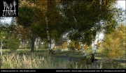 ARMA 2 - Linda - Realistic vegetation creation system for realtime visualisations, games, simulations or CG generated nature