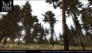 ARMA 2 - Linda - Realistic vegetation creation system for realtime visualisations, games, simulations or CG generated nature