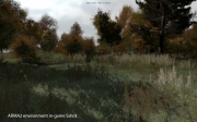 ARMA 2 - Vegetationssoftware Linda