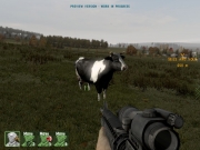 ARMA 2 - Neue Screenshots von JEUXVIDEO.COM