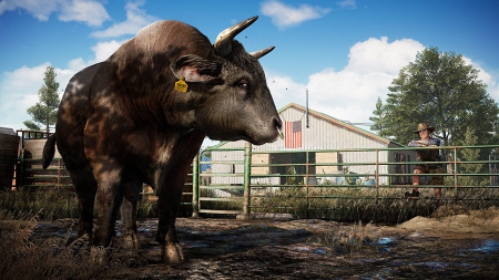 Far Cry 5 - Official Screenshots